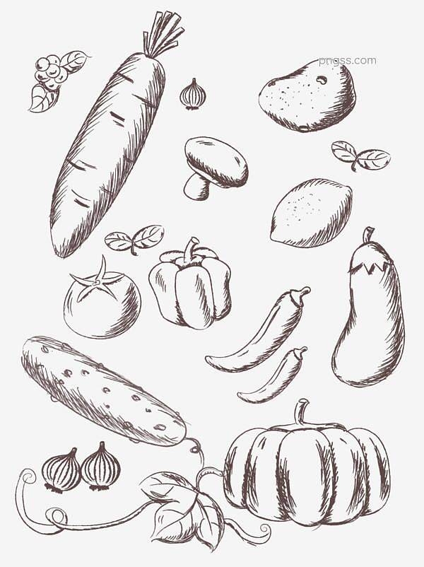 手绘简约素描线条蔬菜水果可商用矢量元素图.